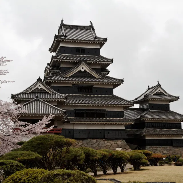 Matsumoto Castle keep behind cherry trees in blossom in the Honmaru Garden